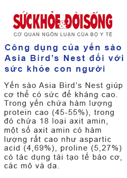 Carousel Bao Chi Noi Ve Yen Sao Asia Bird Nest 001