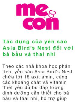 Carousel Bao Chi Noi Ve Yen Sao Asia Bird Nest 002